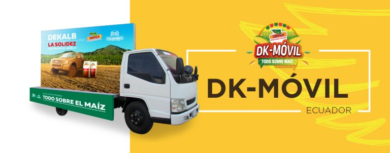DK-MÓVIL - TODO SOBRE EL MAÍZ