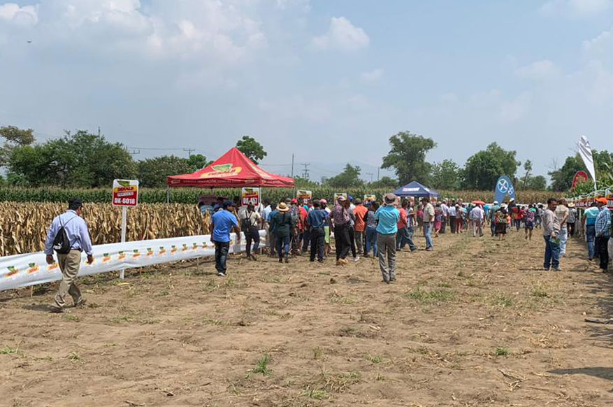 DEKALB - Buenas prácticas agrícolas