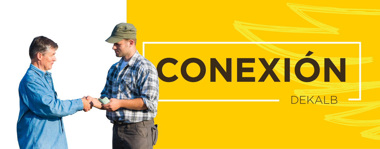 DEKALB - Buenas prácticas agrícolas