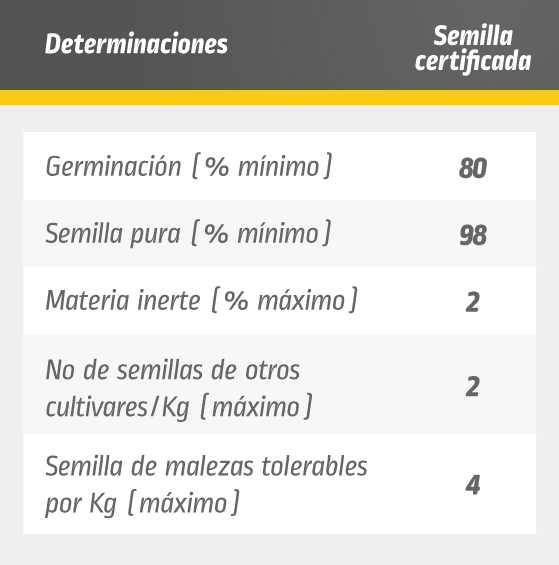 DEKALB - Buenas prácticas agrícolas