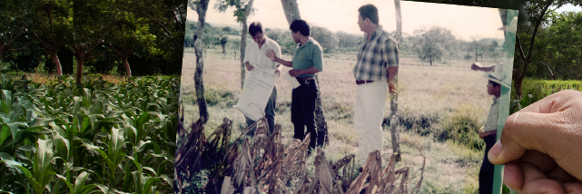 Soporte Agronómico